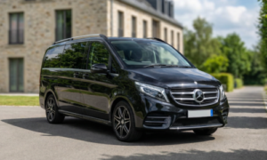 Paris Disney Transfer